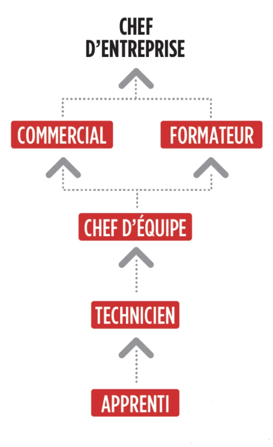 Evolution au sein du réseau Daniel Moquet